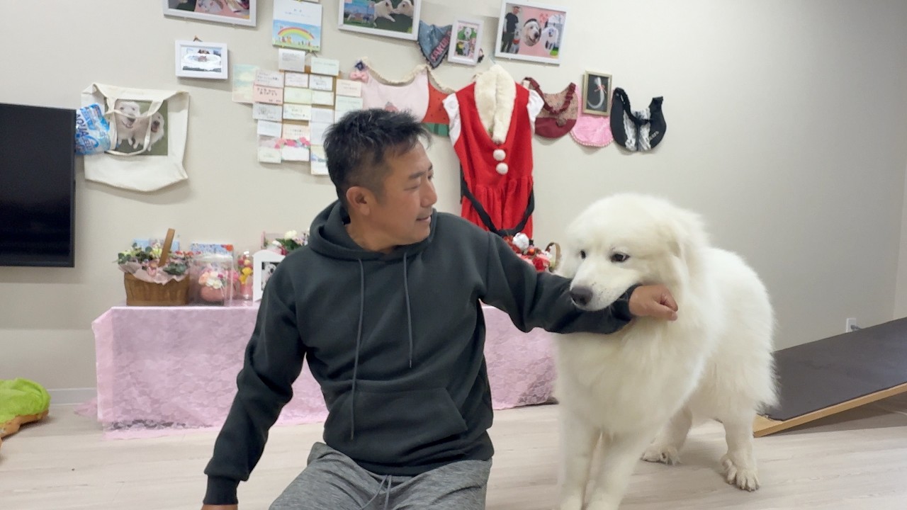 さくらの時もあるの時も私の腕はキズマルケでしたw