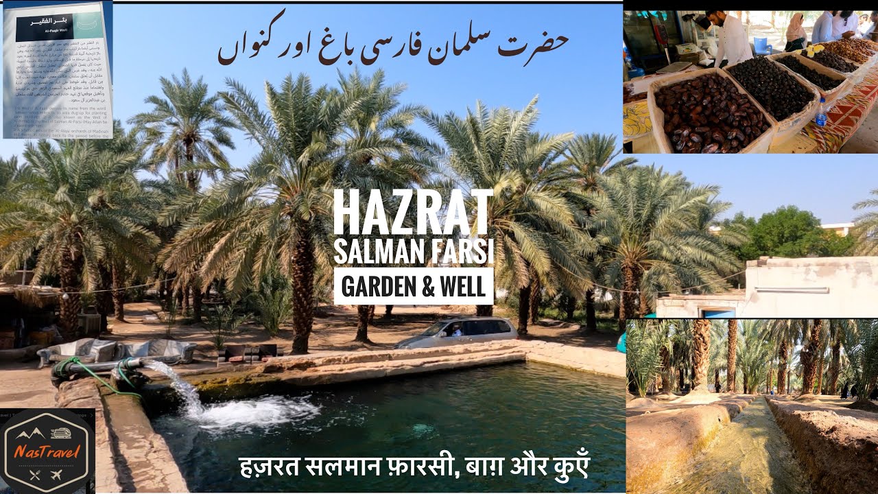 Madina | Hazrat Salman Farsi Garden & well | Al Faqir Well | Saudi Arabia 🇸🇦