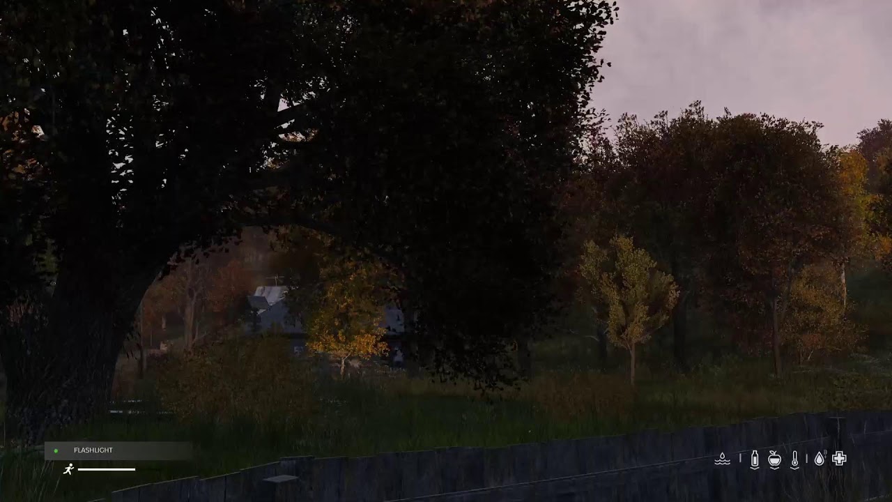 Dayz