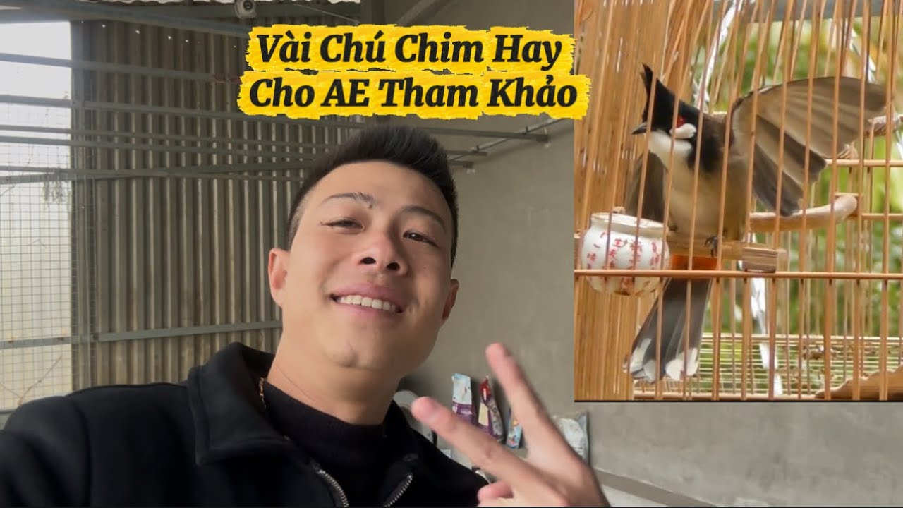 6.1 - Vài Chú Chim Hay Cho AE Tham Khảo / Từ Cao Cấp Tới Bình Dân Mời AE Xem Giải Trí