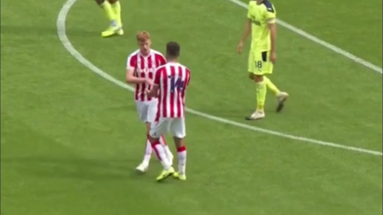 NEWCASTLE 0-1 STOKE SAM CLUCAS GOAL!!!!!!
