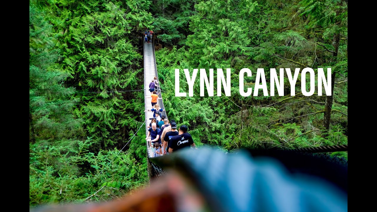 [4K] Lynn Canyon Suspension bridge Walk