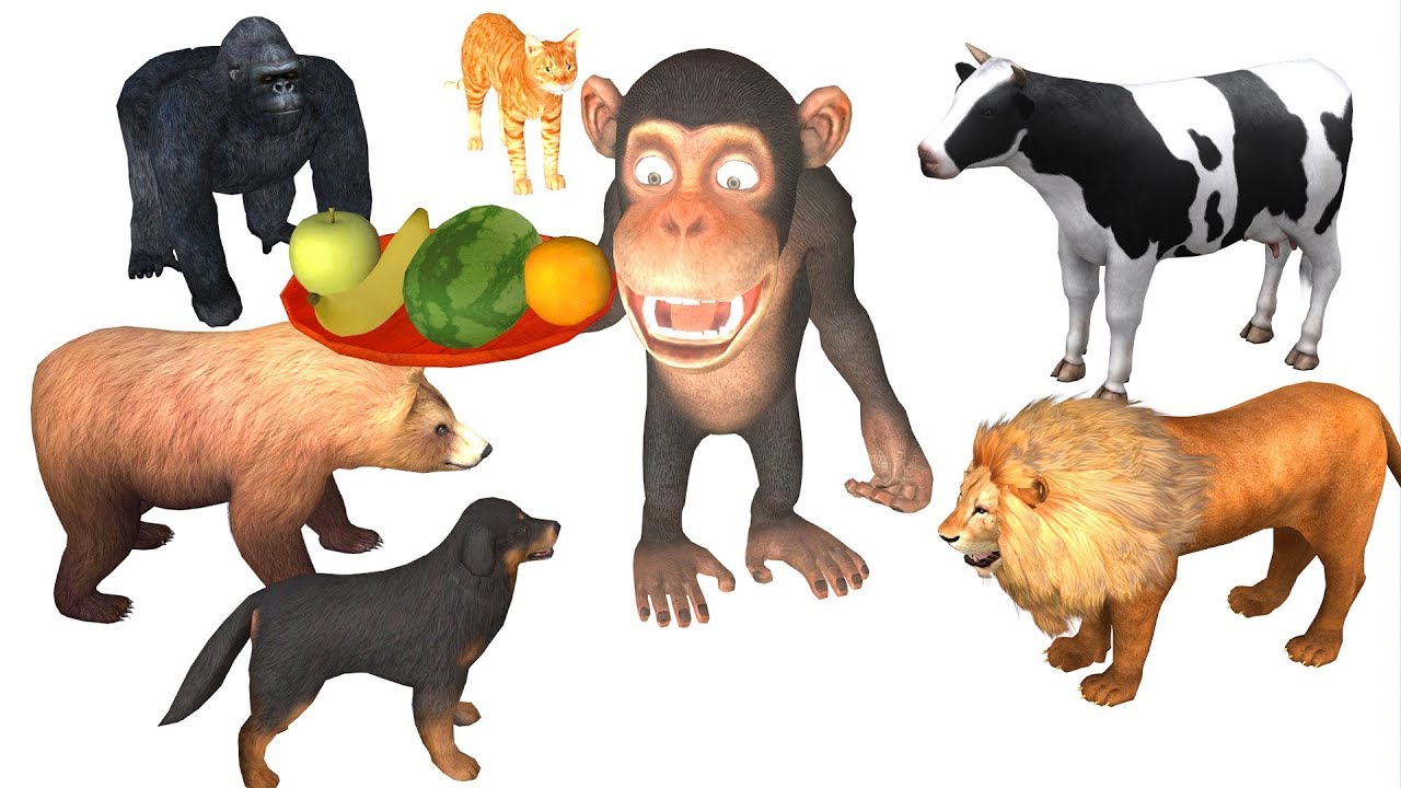 Learn animals names and sounds with funny monkey for kids