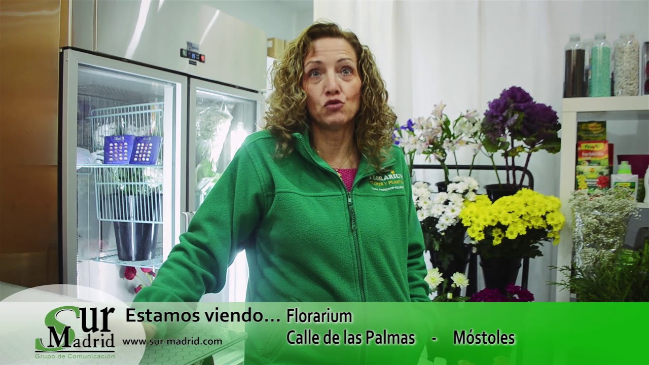 Florarium Móstoles - Floristeria, Bodas y Regalos todo en mismo lugar