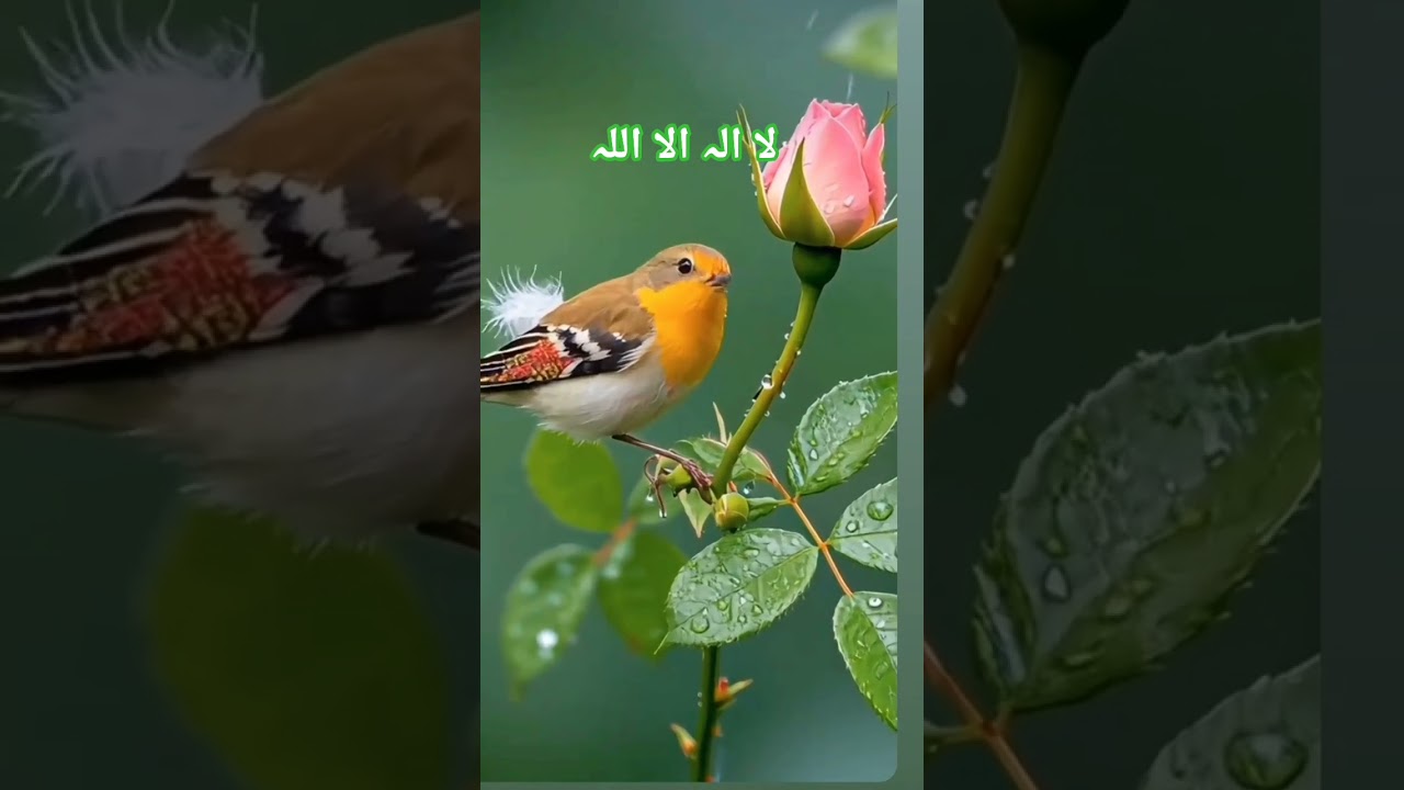 hasbi rabbi jalallah #trending #viralshort #islamicmusic #viralvideo #trend #animation
