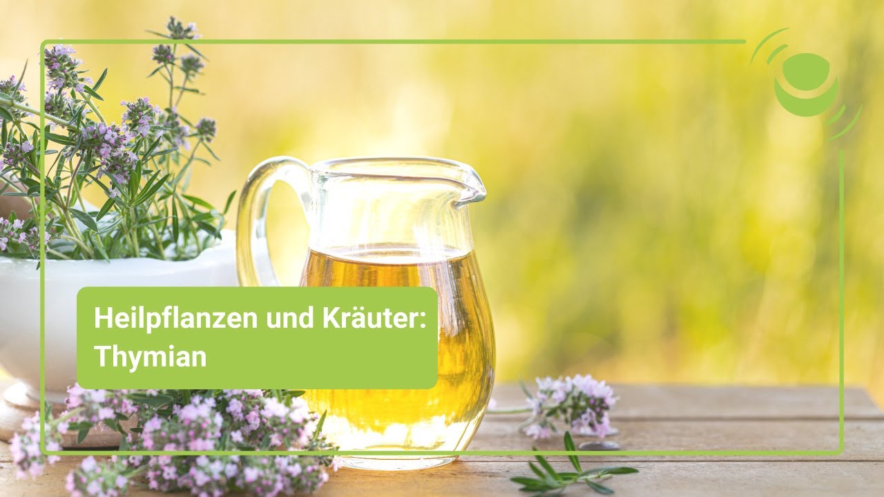 Thymian &ndash; Alles, was du &uuml;ber seine Wirkung wissen solltest.