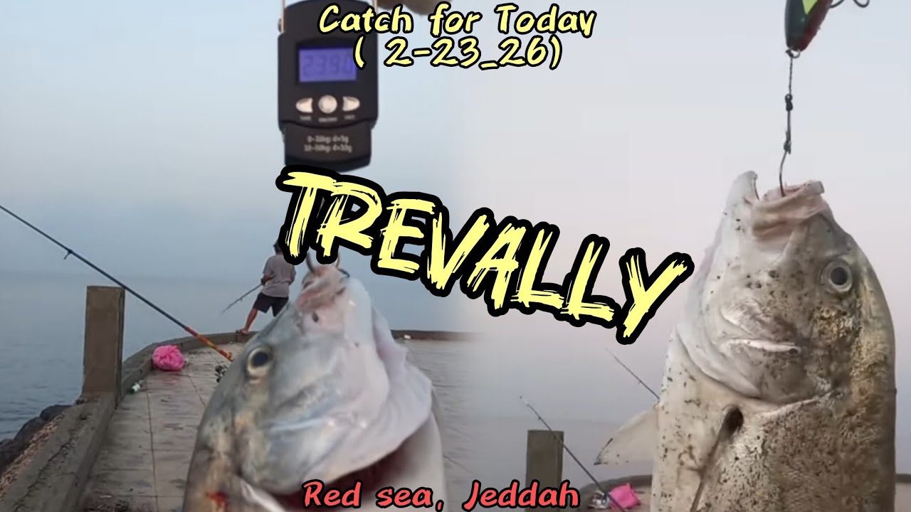 Red sea fishing( 2-23-26)Star TV Pilipinas fishing adventures