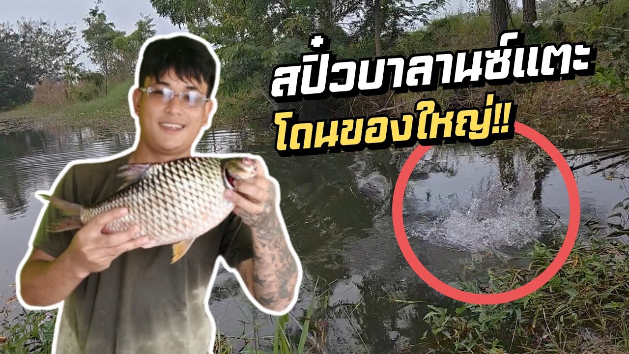 บอลโนบิ ลองตกสปิ๋วบาลานซ์เเตะ ครั้งเเรก!! ในหมายธรรมชาติ โดนโทฟี่เข้าเเล้ว