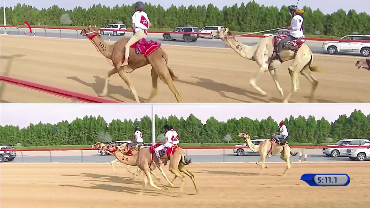 سباق الماراثون التراثي - المرموم 12-2-2020 ص ميّاس لـ سهيل محمد سهيل راشد عبيد الحميري 21:27:0