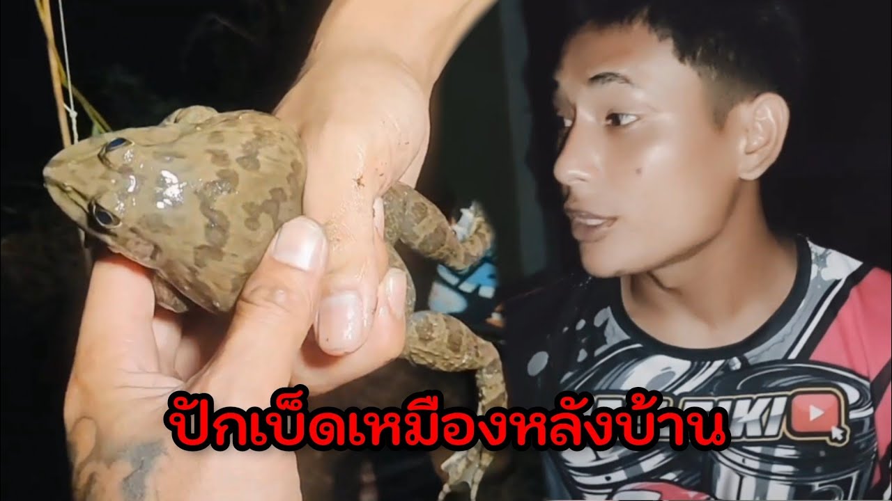 ปักเบ็ดหมายเหมืองหลังบ้าน!! EP3. บอลโนบิ