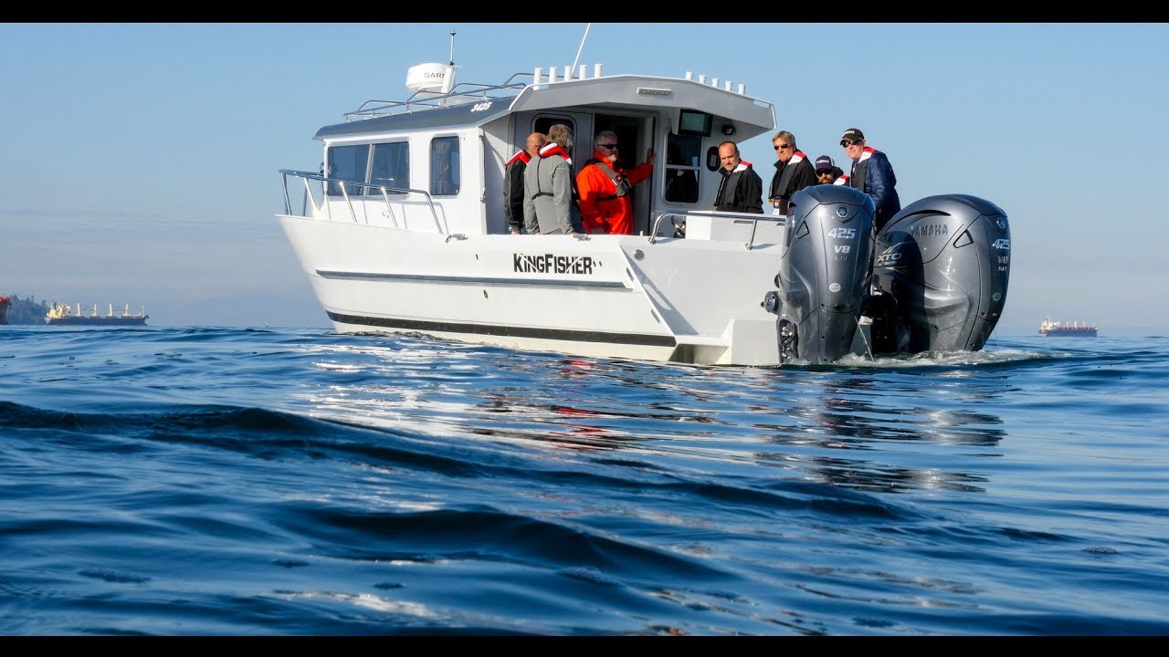 Kingfisher 3425 GFX In Action