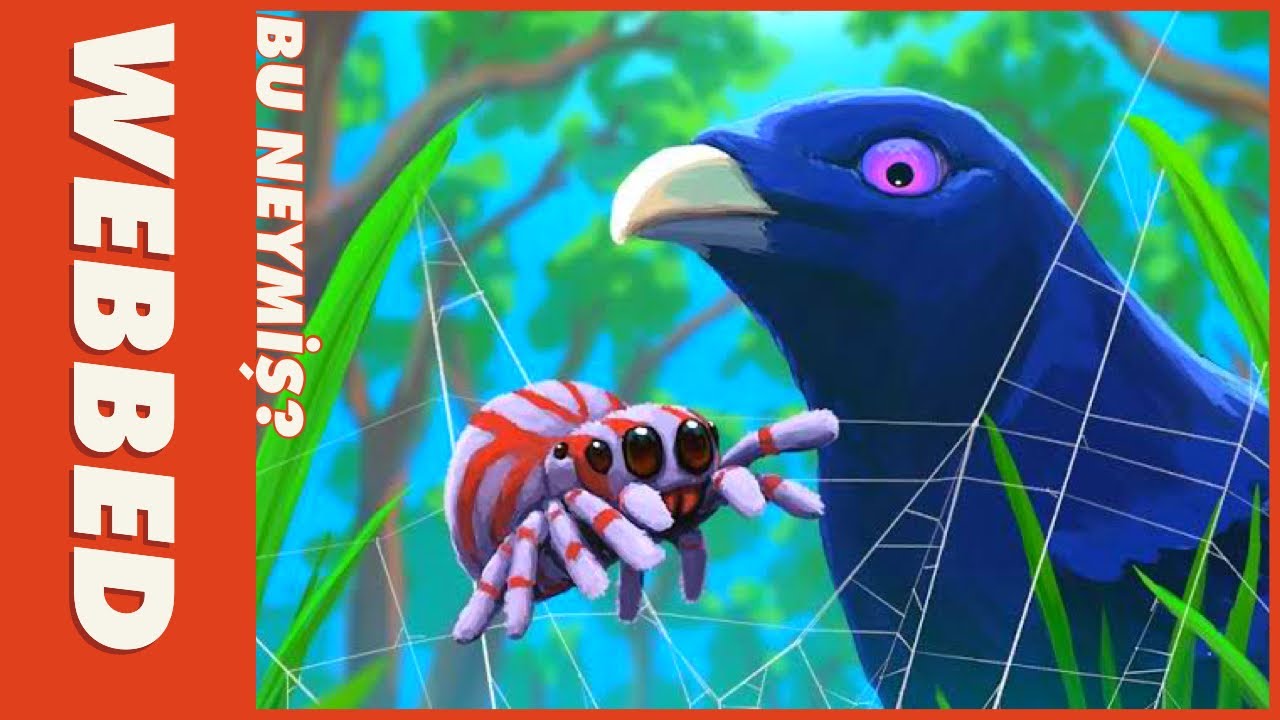 OYUN Gibi OYUN! Örümcek Mühendis ile İnşaat Vakti!  - WEBBED #BuNeymiş