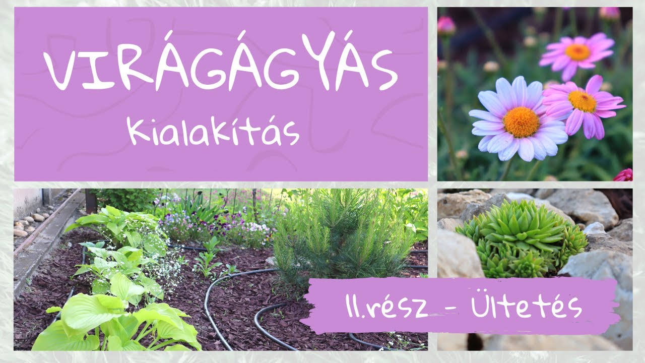 Virágágyás kialakítás - 2. rész - Ültetések