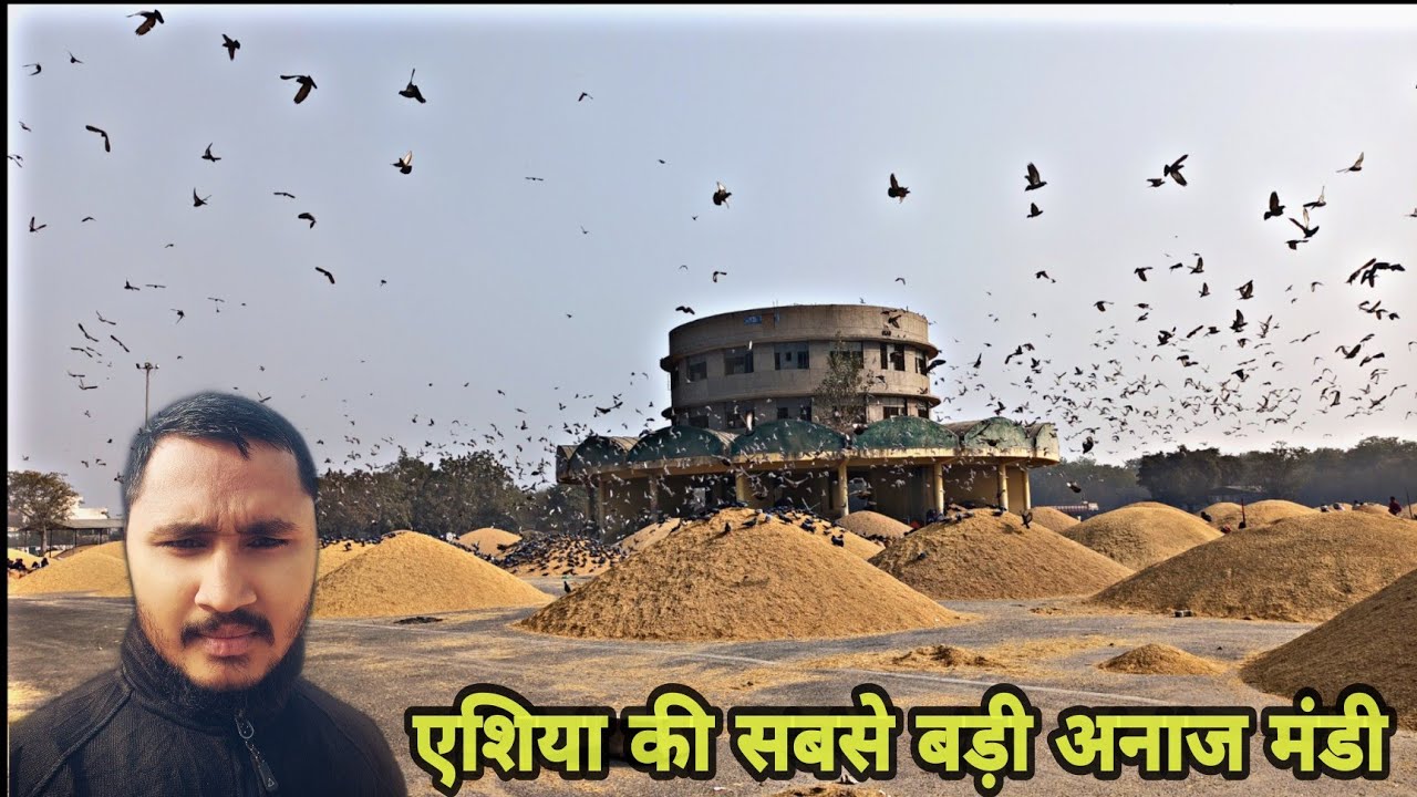 Anaj Mandi Narela  || Asia Ki Sabse Badi Anaj Mandi