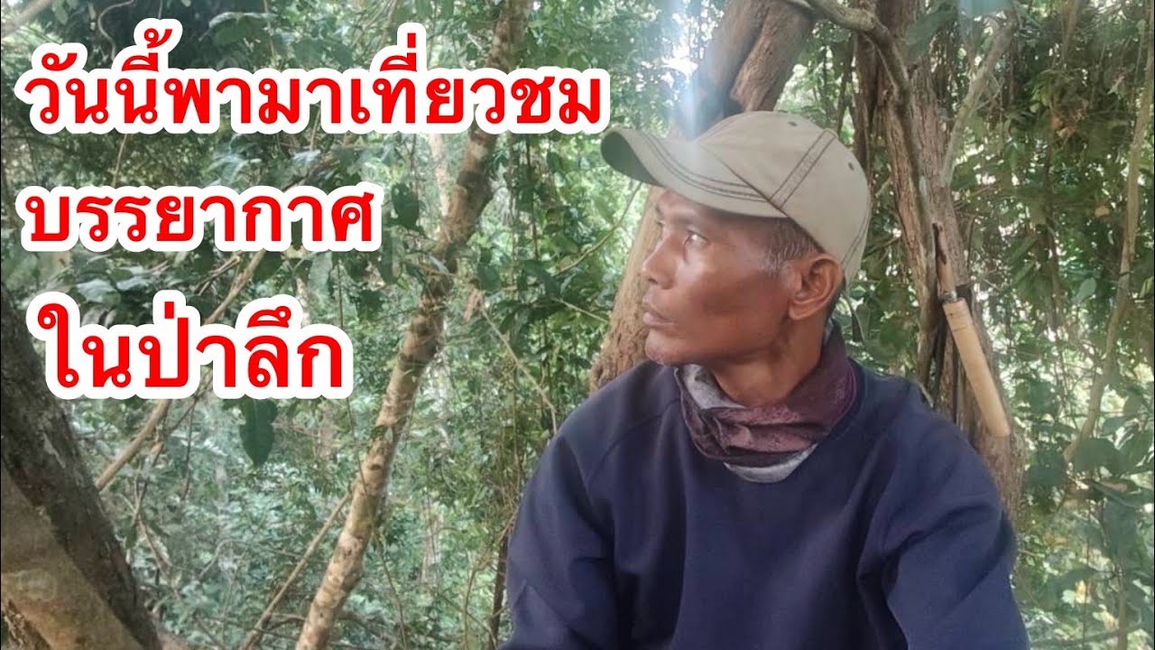 วันนี้พามาเที่ยวชมและนอนดูบรรยากาศอยู่ในป่าลึก 4/3/2569 | เด่นเดินเง