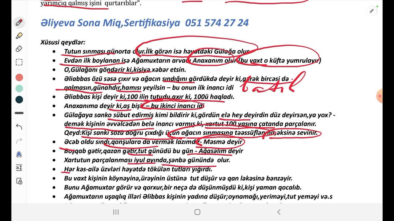 Elçin 