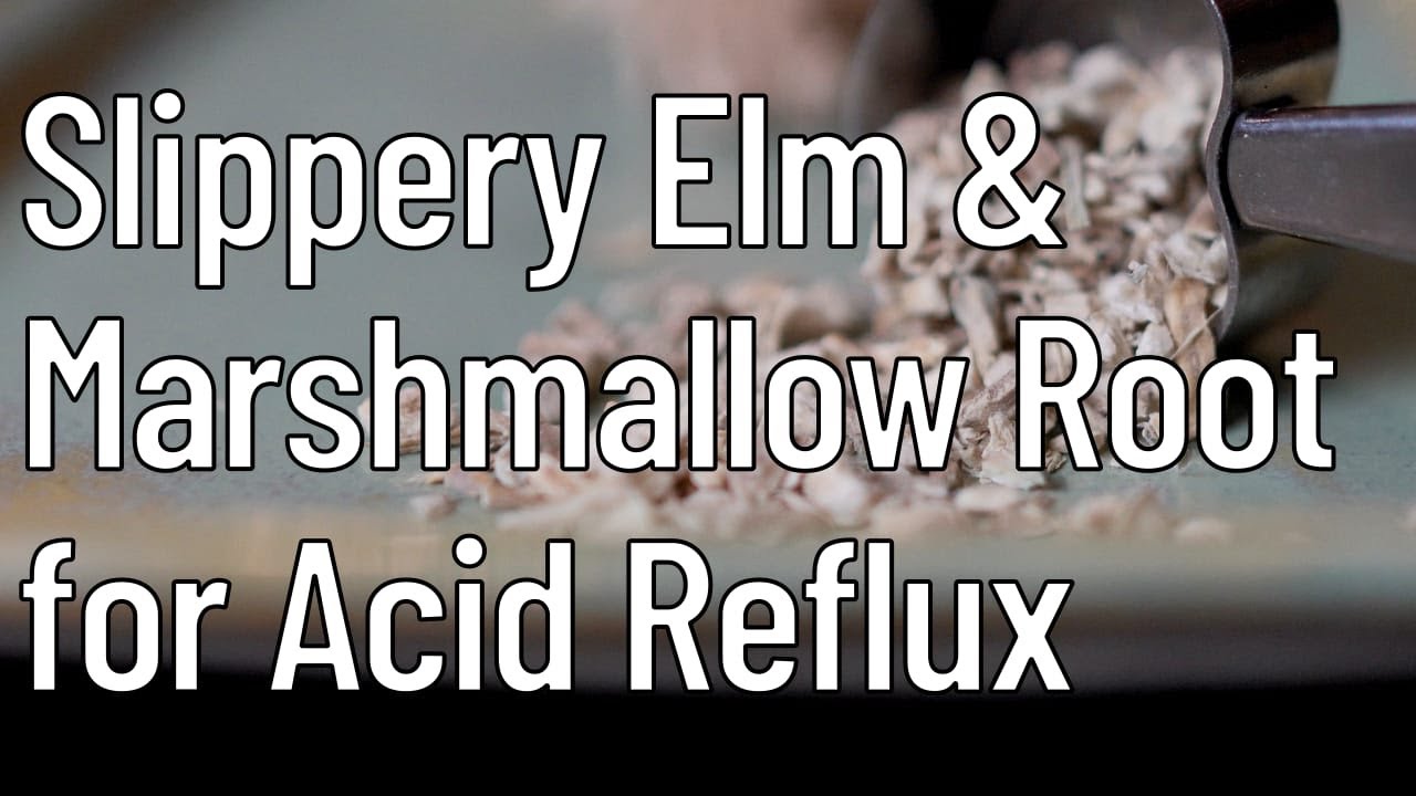 Natural Remedy for Acid Reflux