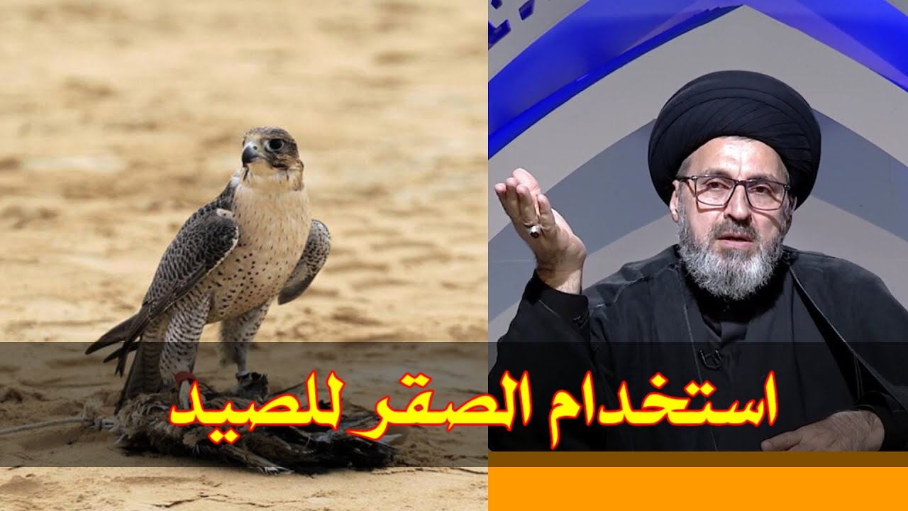 متصل هل يجوز استخدام الصقر في الصيد ما هو حكم الاكل هذا الصيد / سيد رشيد الحسيني
