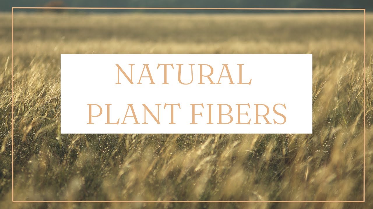 What Are Plant Fibers? - Untwisted Threads