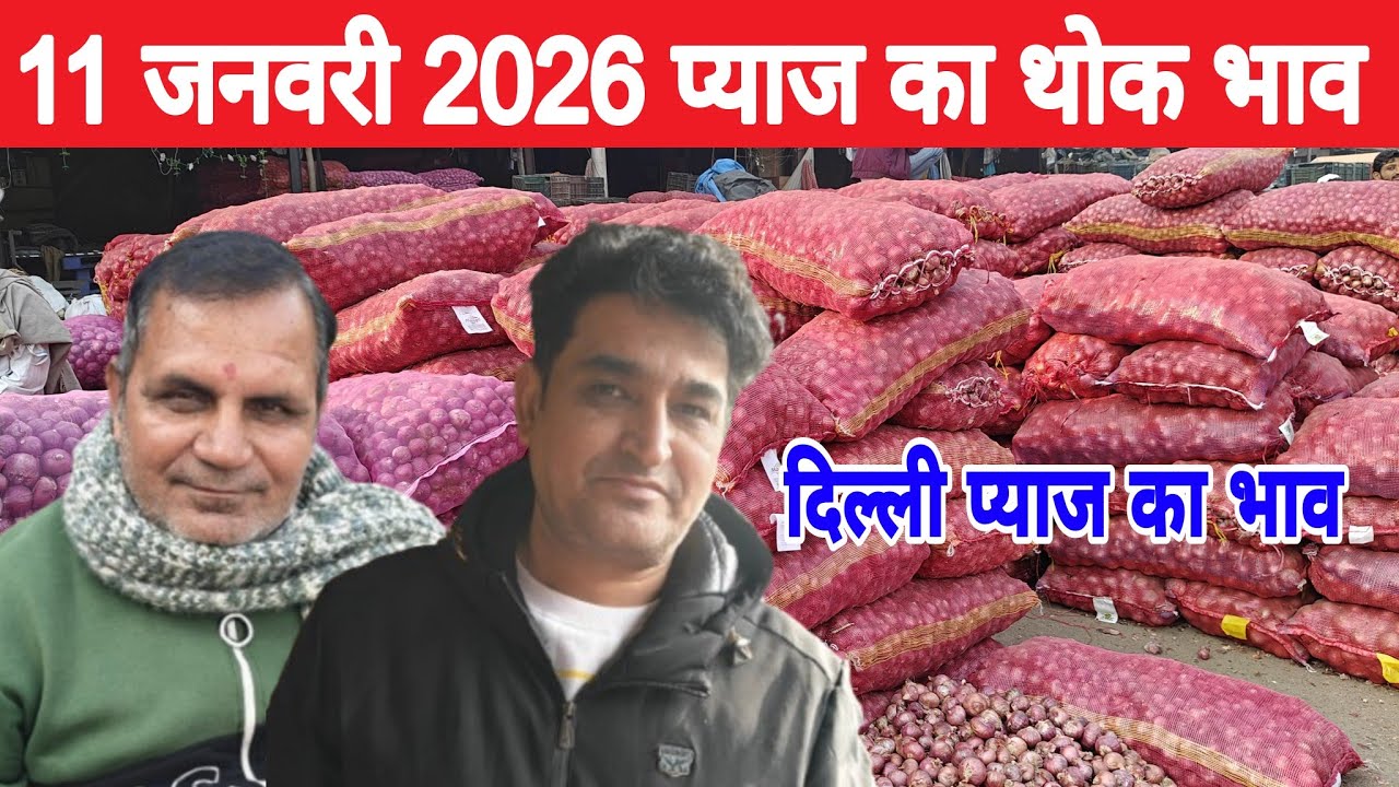दिल्ली केशोपुर मंडी | 🧅Today onion rates | Today Onion price | Piyaj | 11 Jan 2026 #pyaj #mandiprice