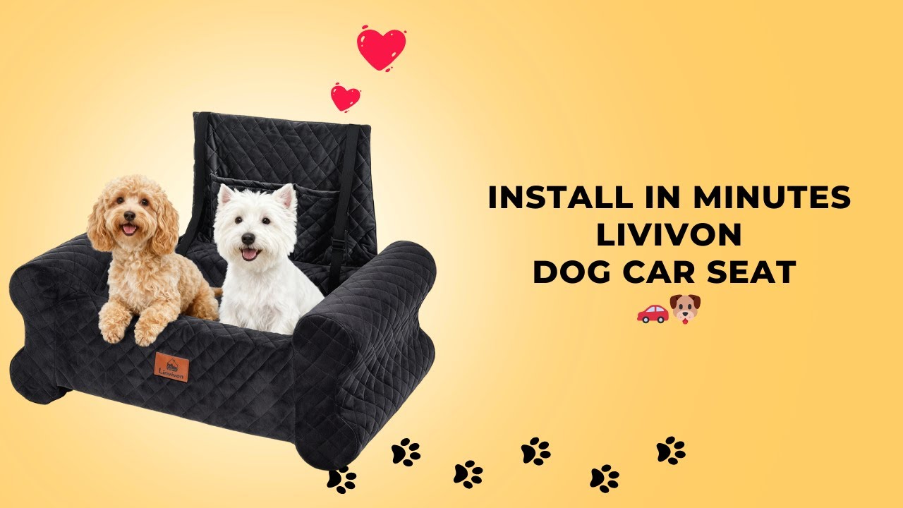 How to Install the Linvivon Dog Car Seat for Medium & Large Dogs 🚗🐕 | Easy Setup Guide