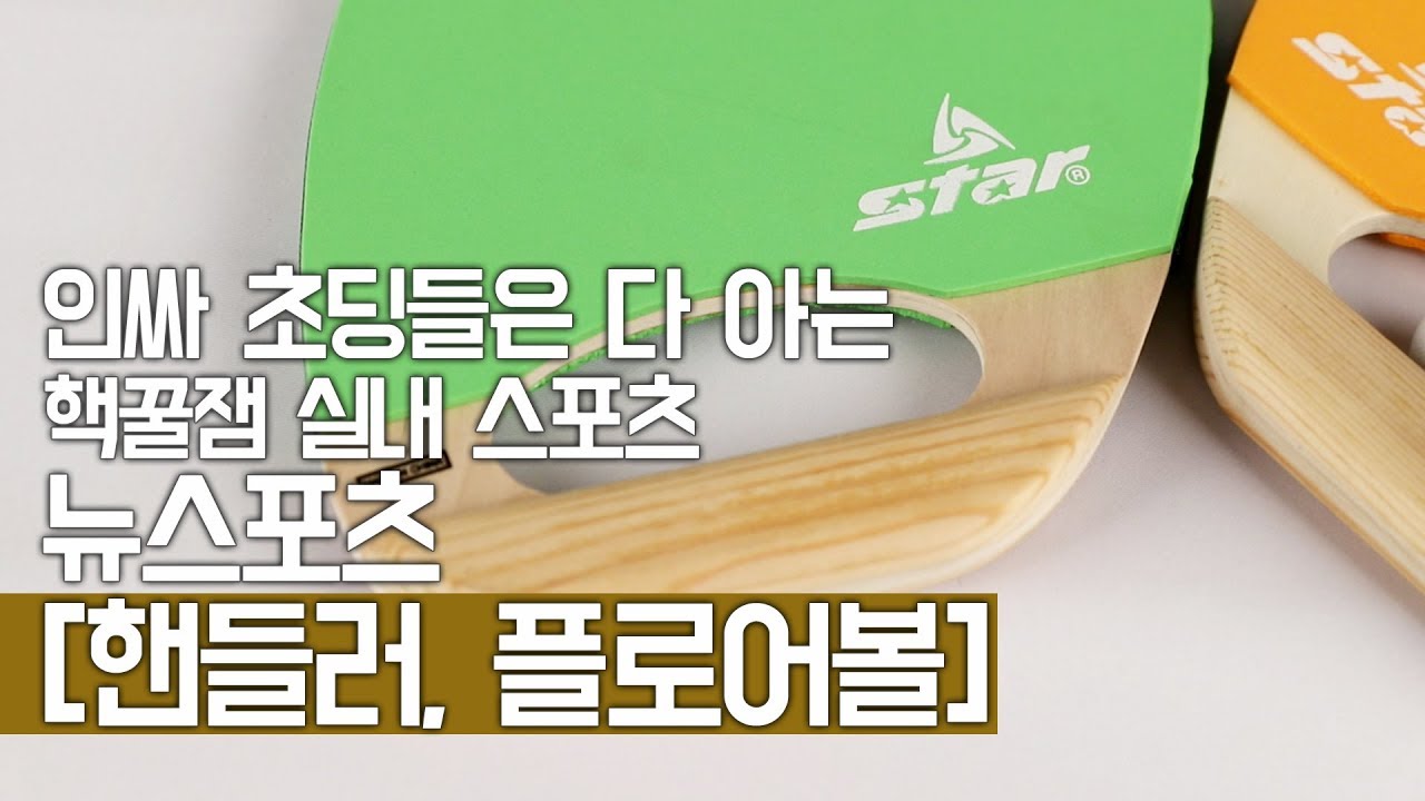 요즘 인싸 초딩들이면 꼭 한다는 뉴스포츠, 핸들러와 플로어볼