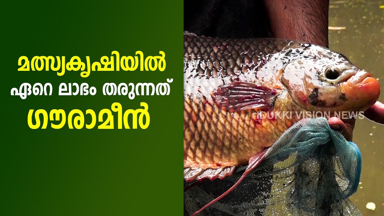 മത്സ്യകൃഷി കർഷകർ അറിയേണ്ടതെല്ലാം