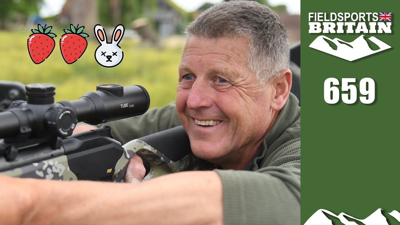 Fieldsports Britain &ndash; Crow&rsquo;s on rabbits