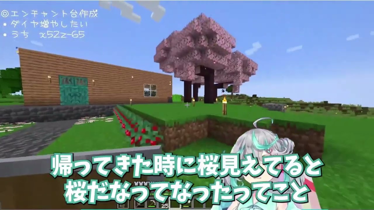 ポコミント様切り抜き動画4 3完パケ