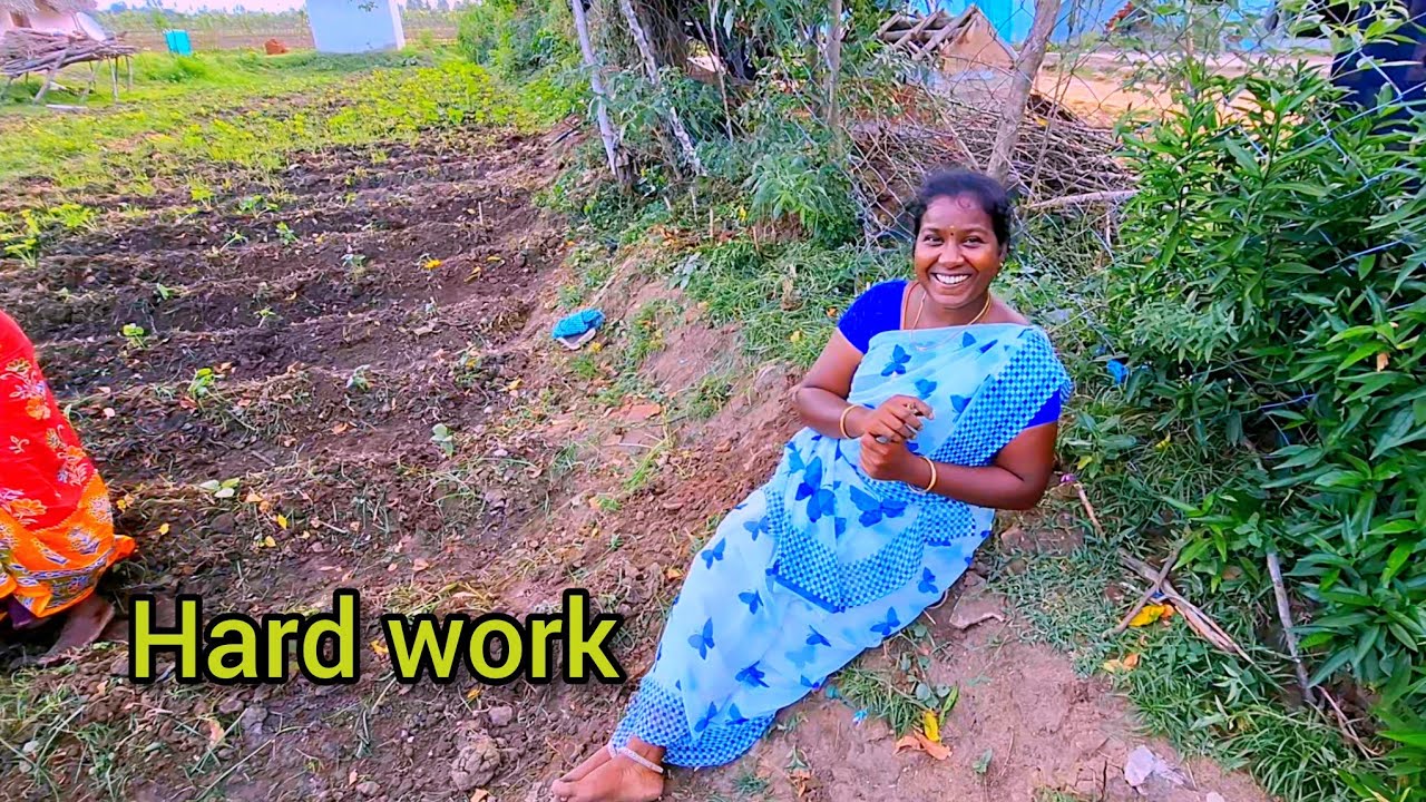 Mamiyin Hard work | Farming Garden | Vlog 