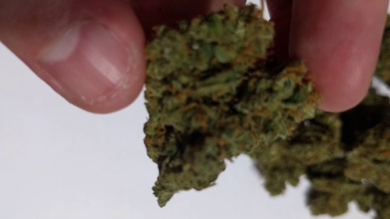 Plain Packaging - Balanced THC+CBD