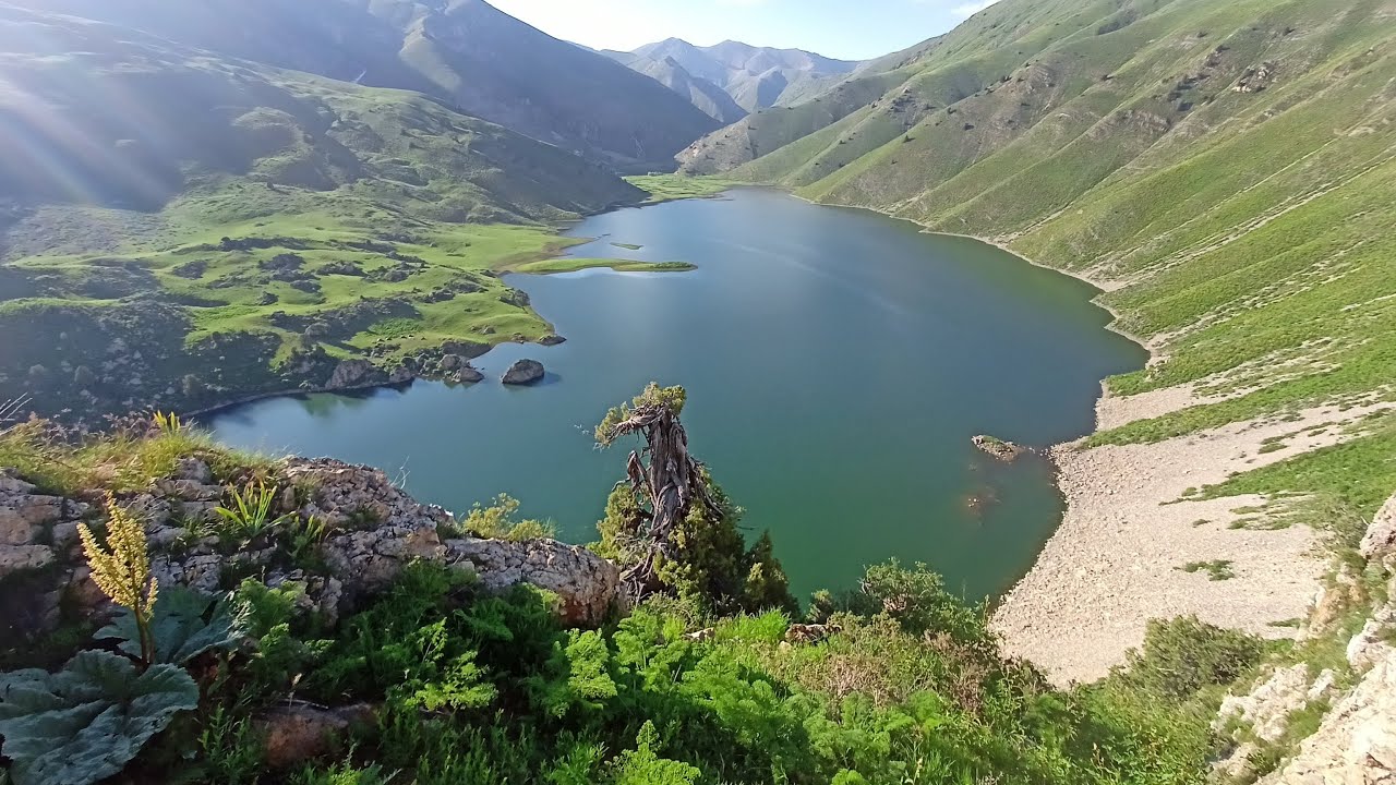 Сусынген или 