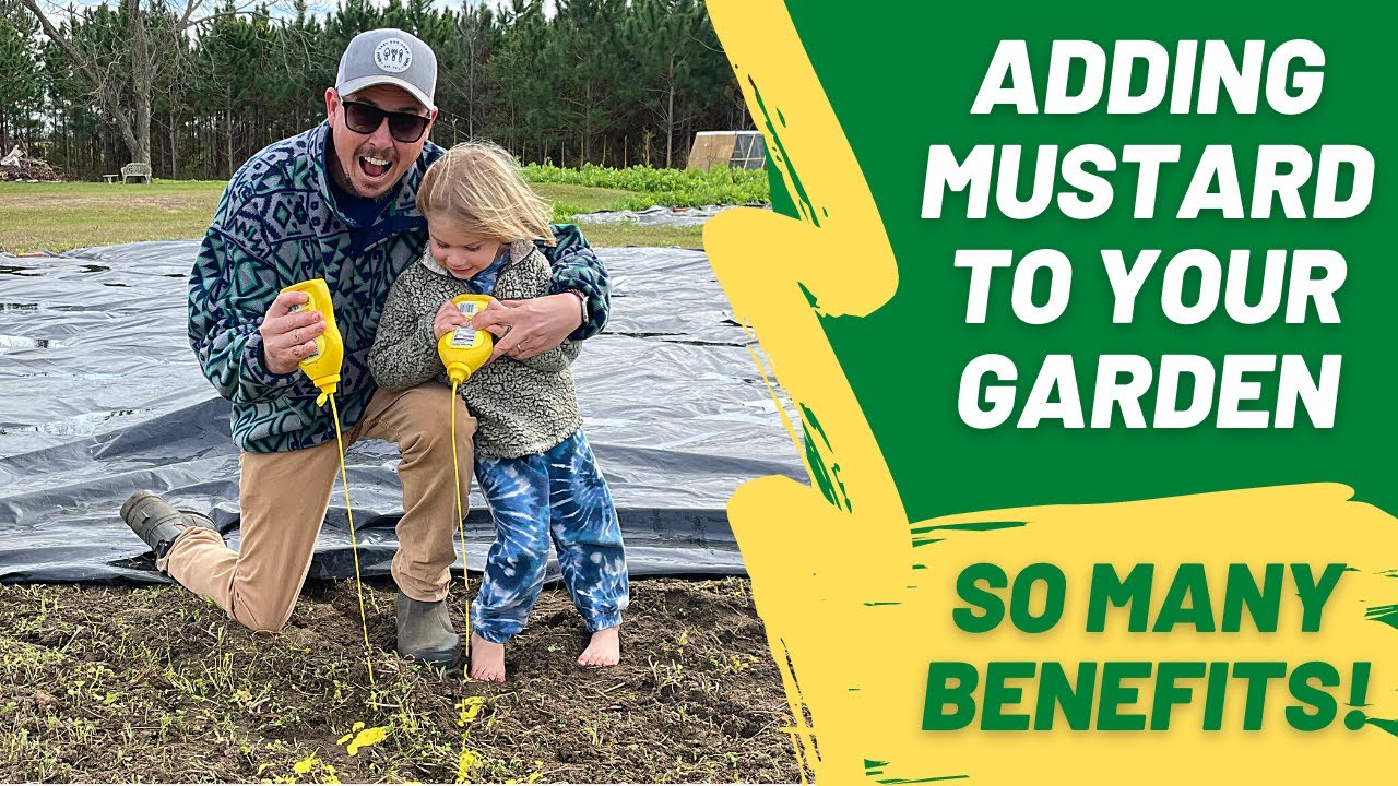 Why You Should Add Mustard to Your Garden!