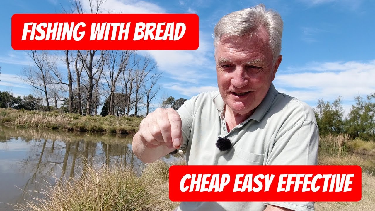 Bread Punch Fishing Basics  - Easy Guide for Pole or Waggler