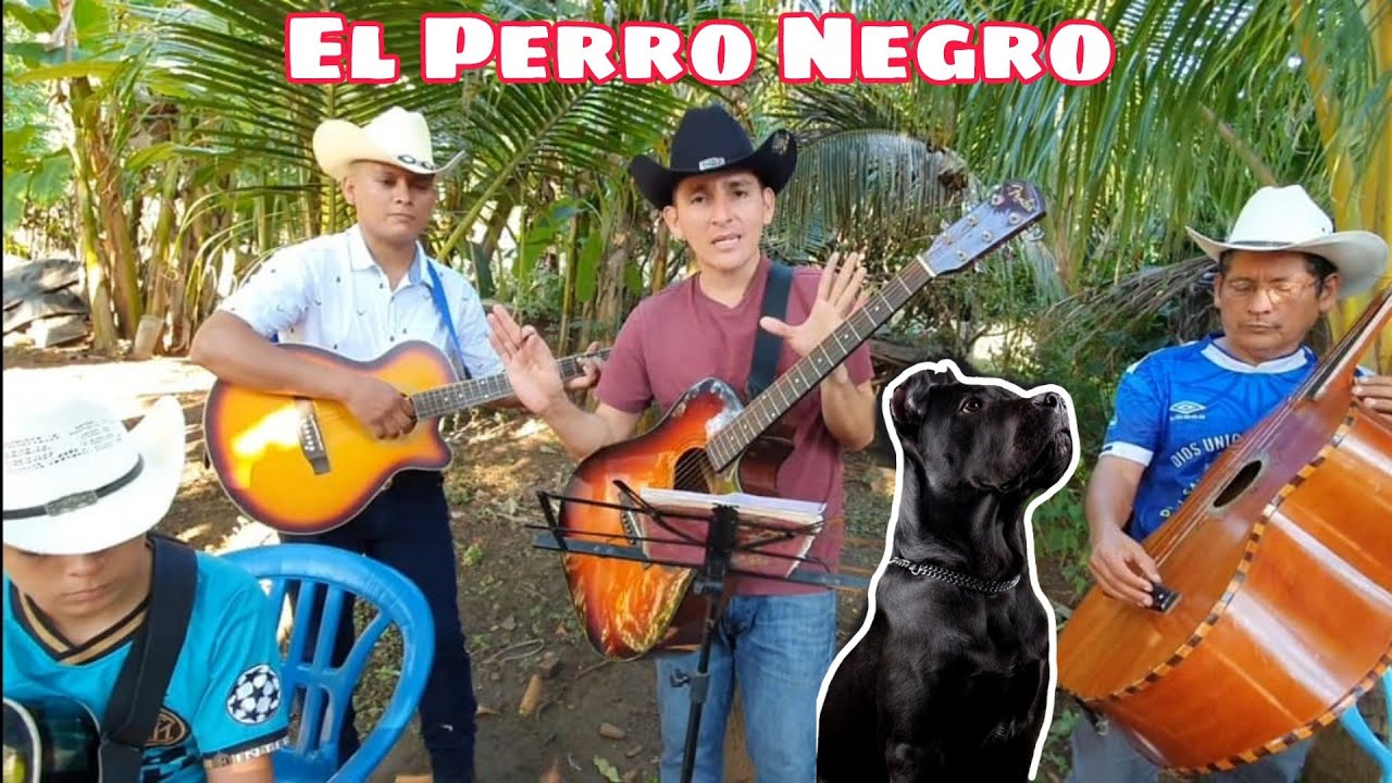 El Corrido Del Perro Negro! Surge Un Requintista