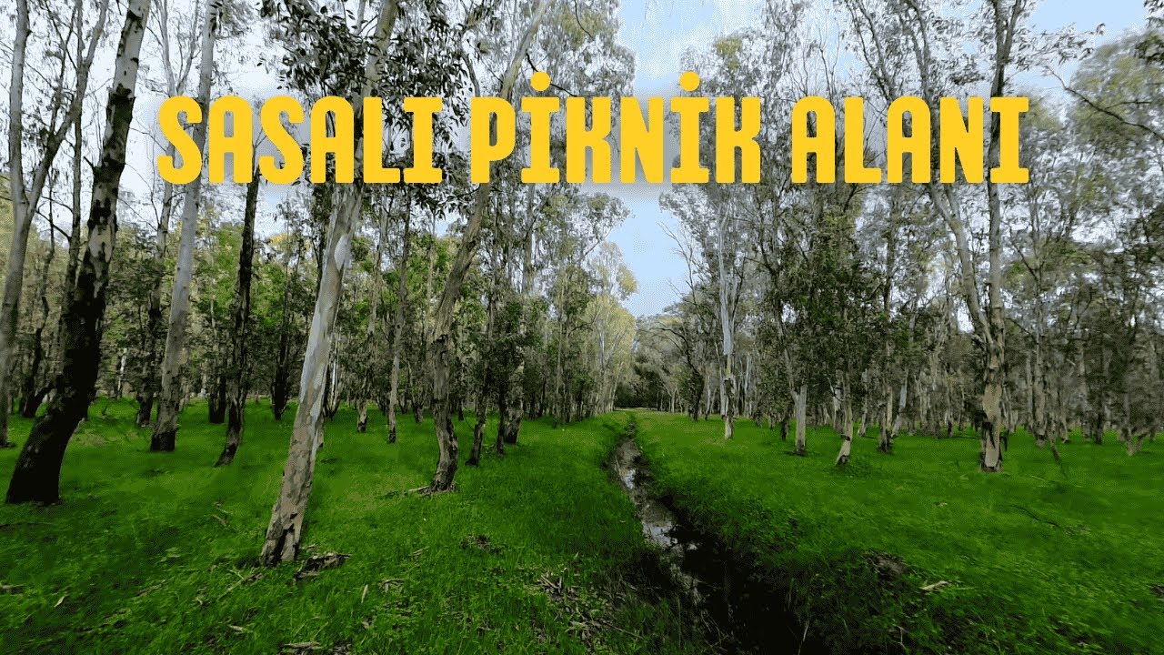 Sasalı Picnic Area | Sasalı Piknik Alanı | HD Kalite