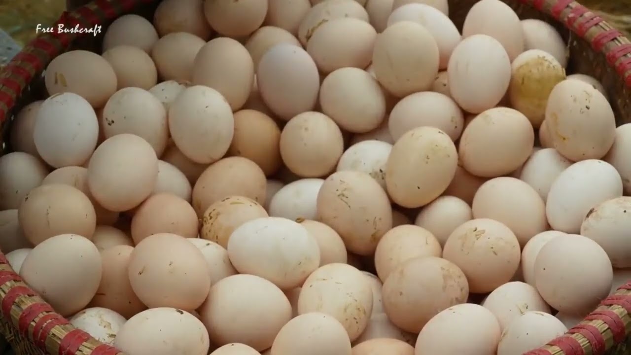 Fresh Egg Selling | Farm Egg Harvest | Village Egg Trade