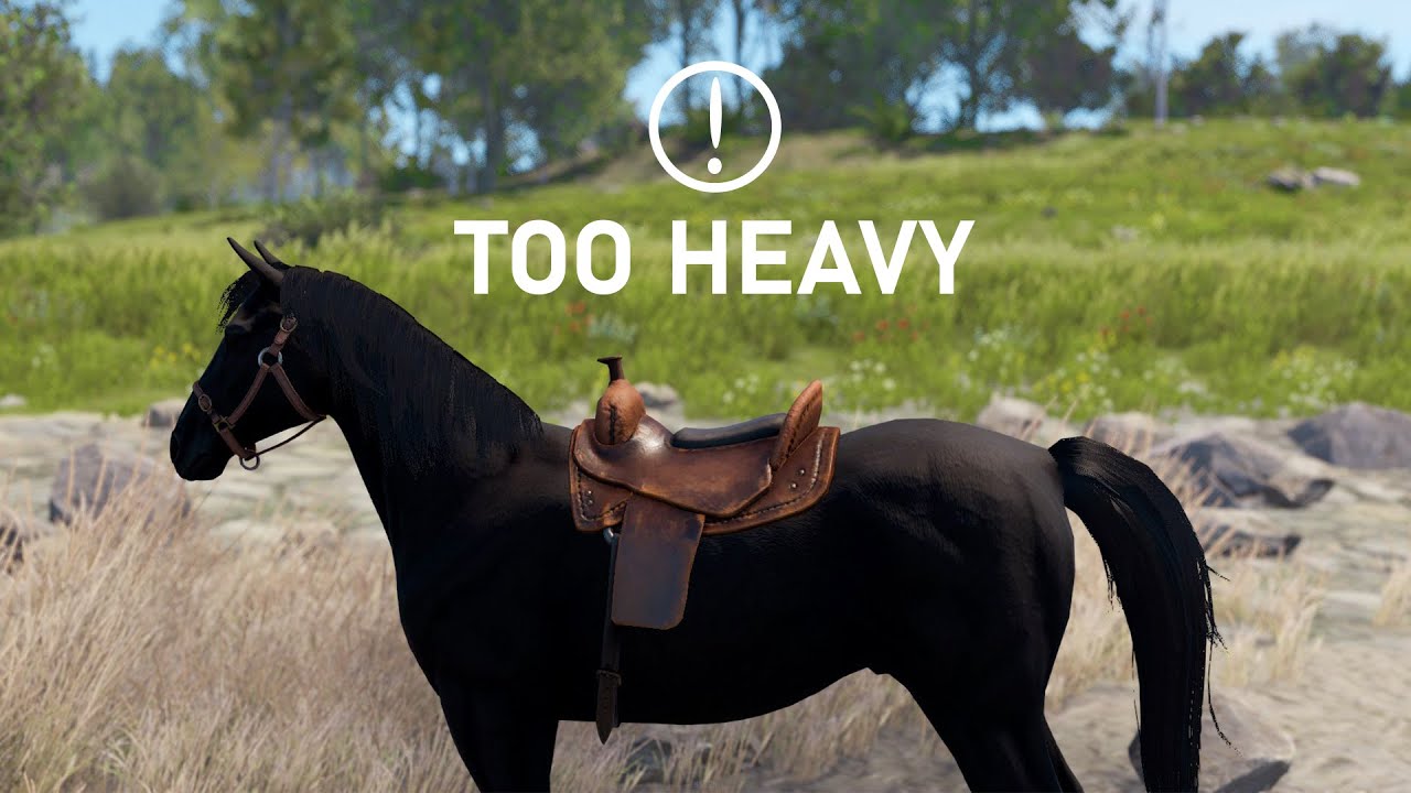 как Horsegang изменил Rust навсегда