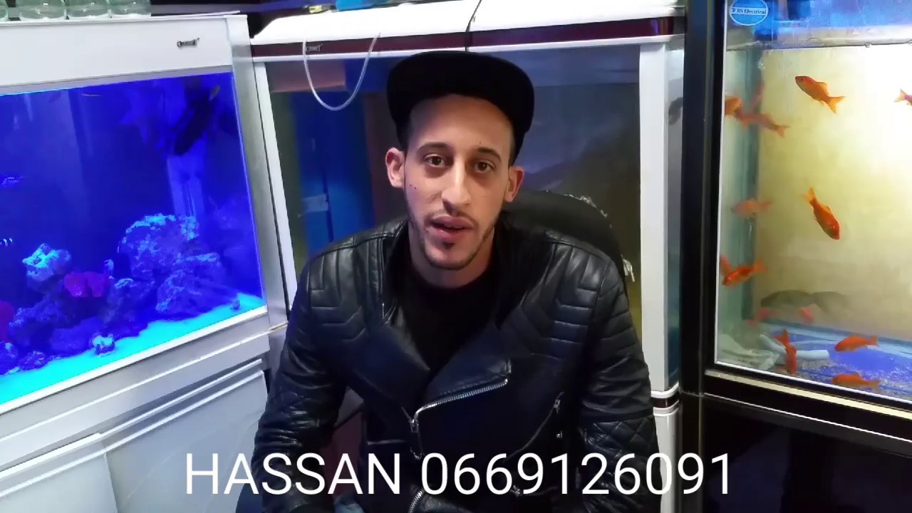 أجيو تشوفو معي أنواع أسماك ولاكواريوم بلازما سوق العيون بالدارالبيضاء souk 9ari3a pour poissons