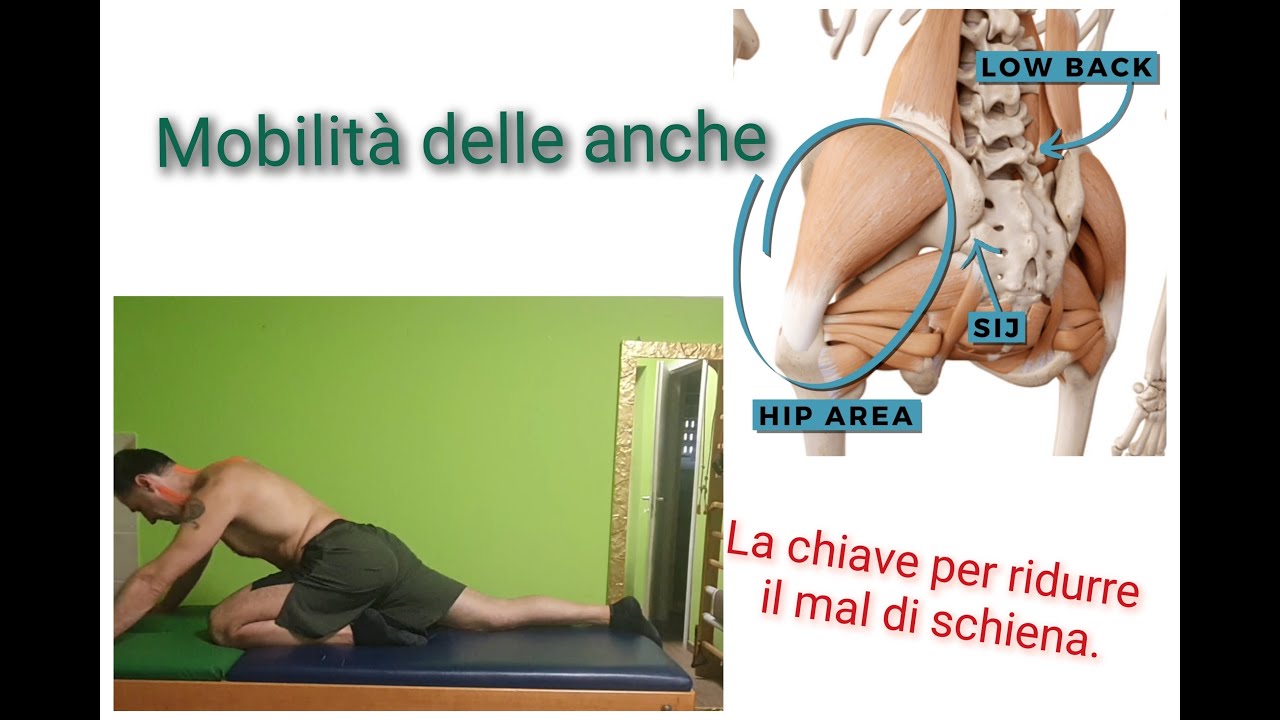 Mal di schiena? Il problema potrebbero essere le anche - Lezioni Benessere