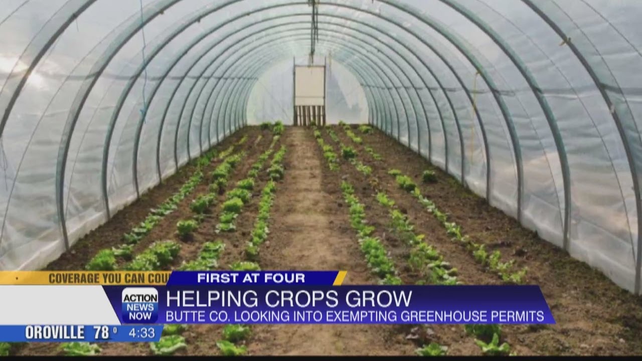 Butte County farmers dealing with expensive permits for 'high tunnels' to help grow crops