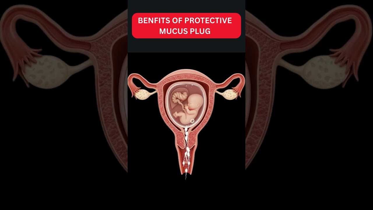 Protective Mucus Plug During Pregnancy Explained 👶 | Benefits of Mucus Plug