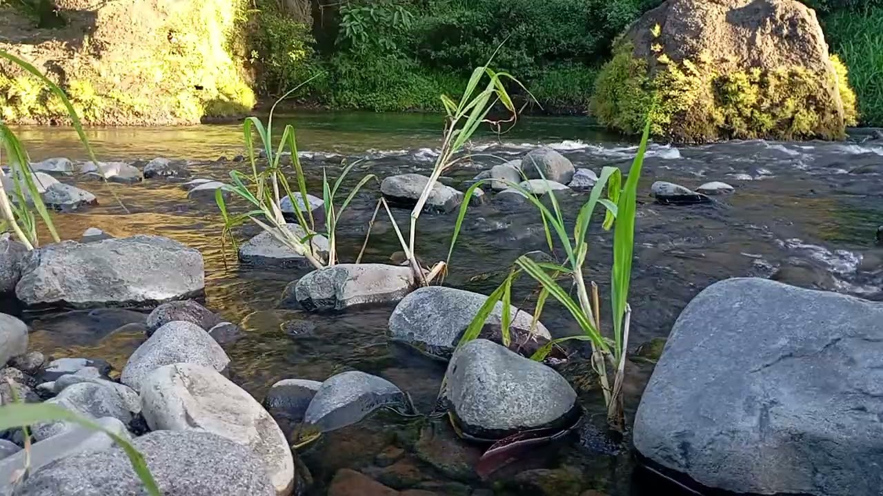 Moonlit River Sounds 🌕 | Natural White Noise for Deep, Restful Sleep