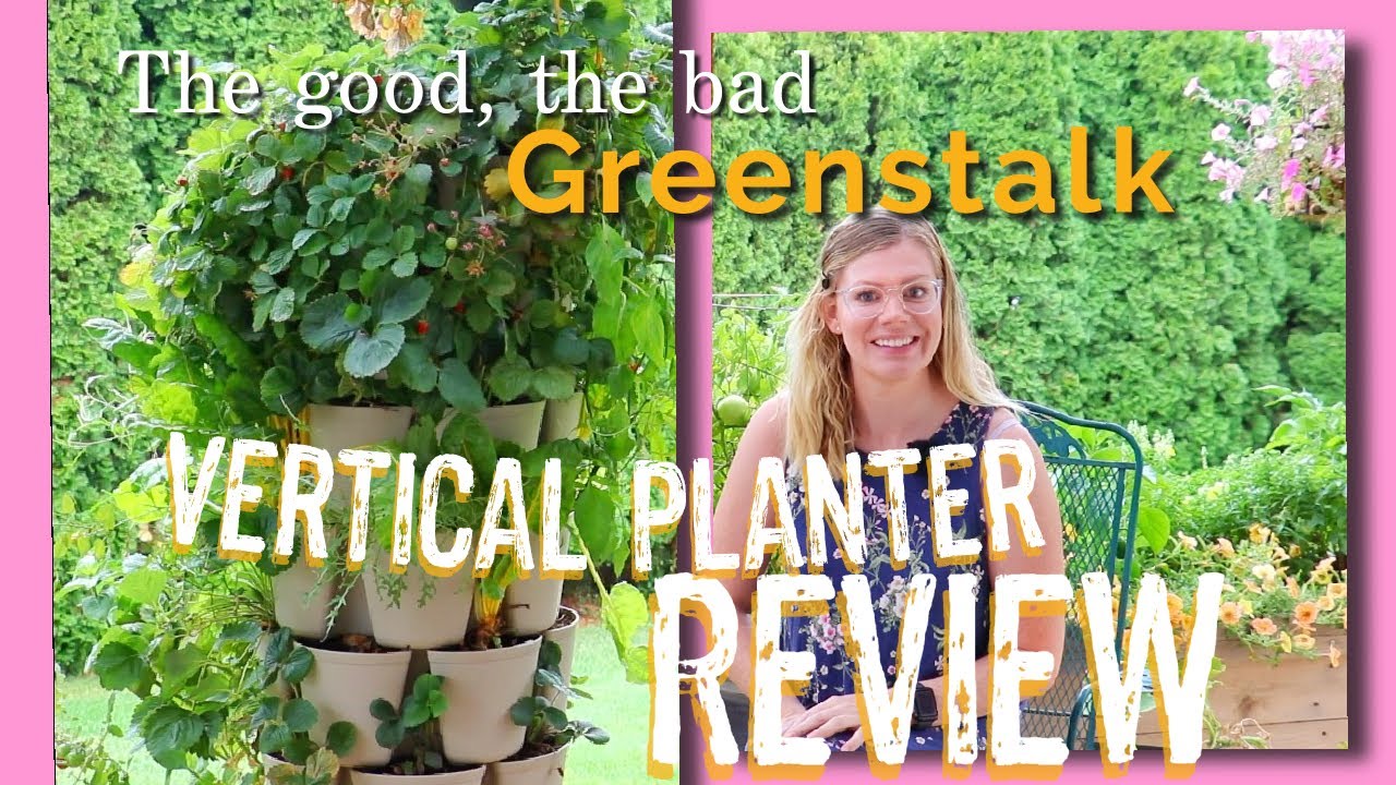 Greenstalk Review | Vertical Planter pros and cons | my experience growing | gardening beginner tips