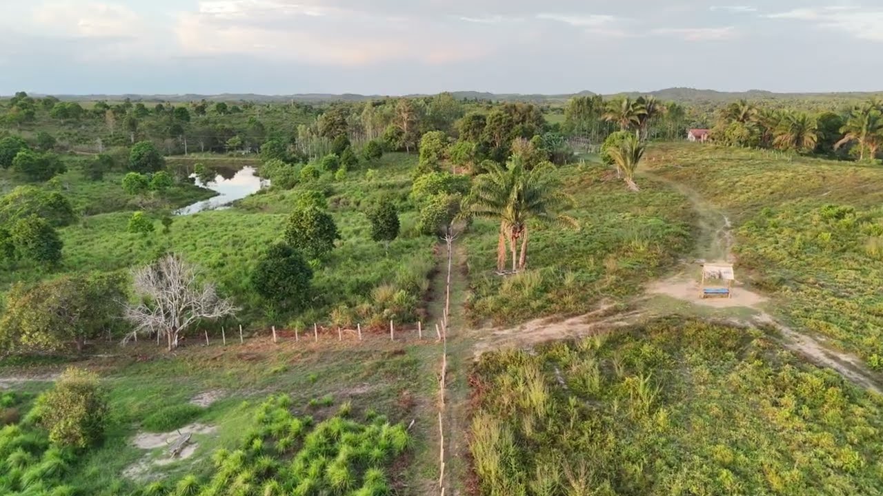Fazenda J Gomes   Aragunã MA