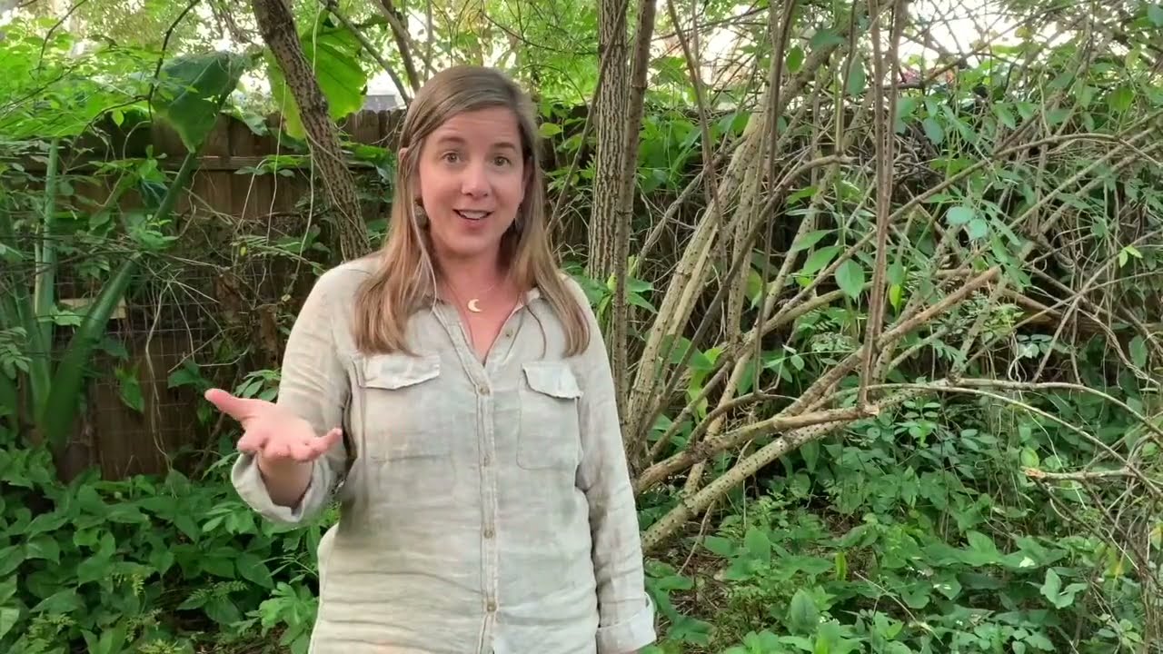 Weed Walk with Maggie O'Halloran - Florida Herbal Conference 2021