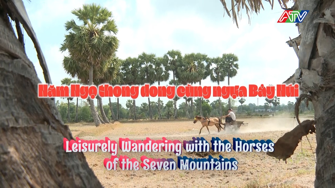 NĂM NGỌ THONG DONG CÙNG NGỰA BẢY NÚI