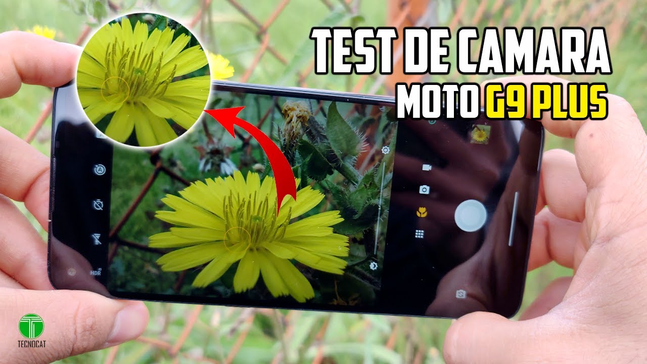 Moto G9 Plus REVIEW DE CAMARA | Tecnocat