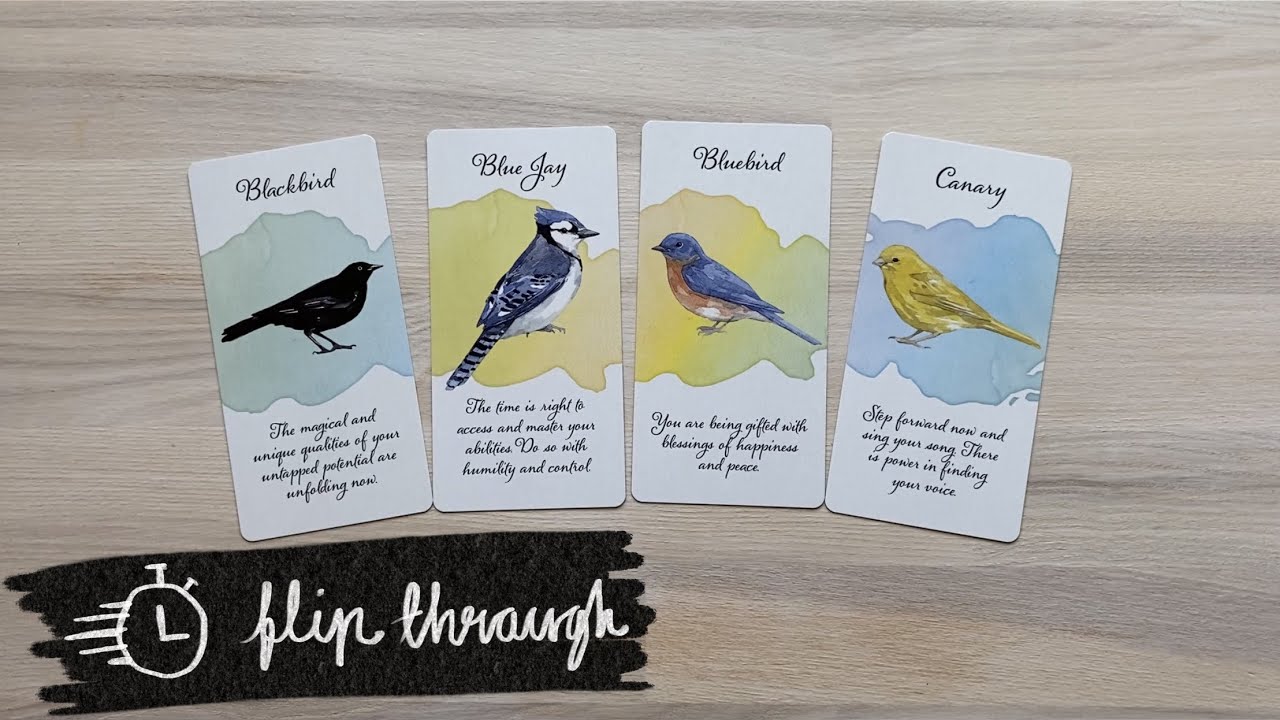 Divine Feather Messenger Flip Through