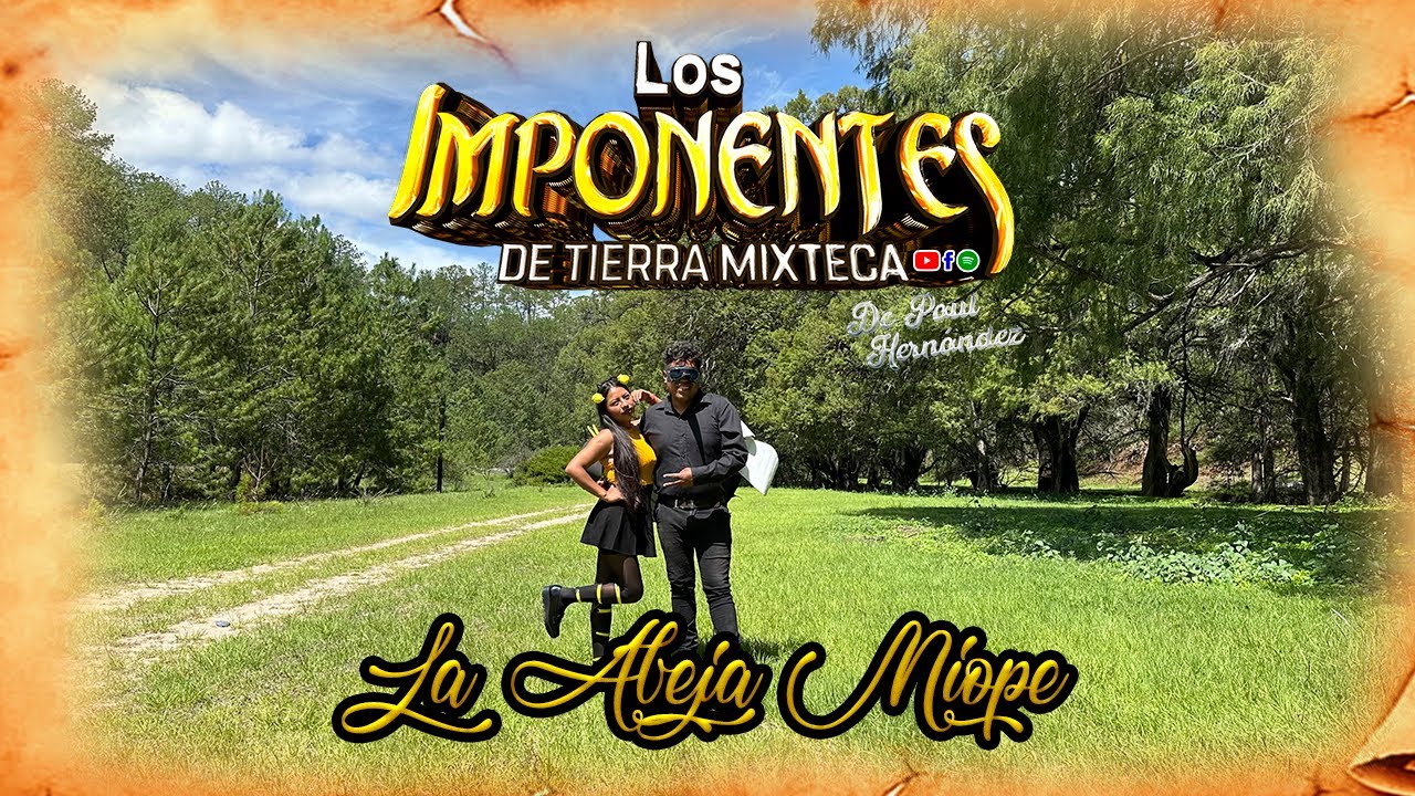 La abeja miope (Video oficial 2024)/LOS IMPONENTES DE TIERRA MIXTECA D.A.R.